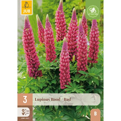 LUPINUS RED 3 ks