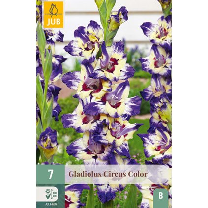 Mečík CIRCUS COLOR 7 ks