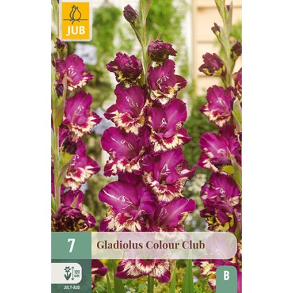 Mečík COLOUR CLUB 7 ks