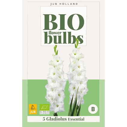 Mečík ESSENTIAL 5 ks