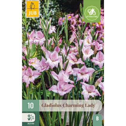 Mečík CHARMING LADY 10 ks