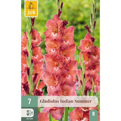 Mečík INDIAN SUMMER 7 ks