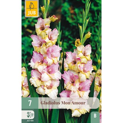 Mečík MON AMOUR 7 ks