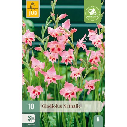 Mečík NATHALIE 10 ks