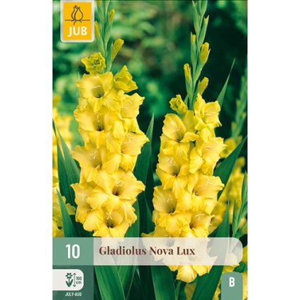 Mečík NOVA LUX 10 ks