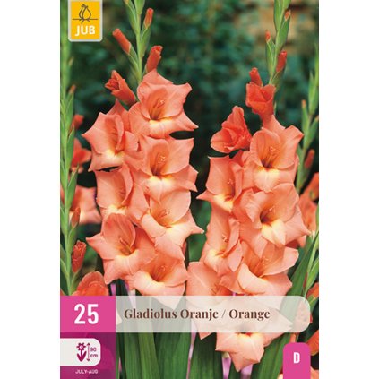 Mečík ORANGE 25 ks