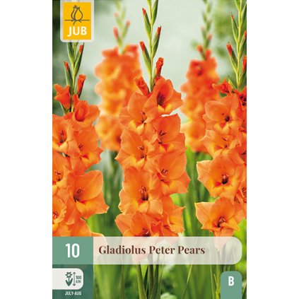 Mečík PETER PEARS 10 ks