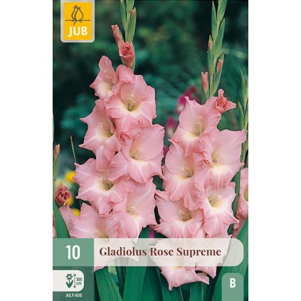 Mečík ROSE SUPREME 10 ks