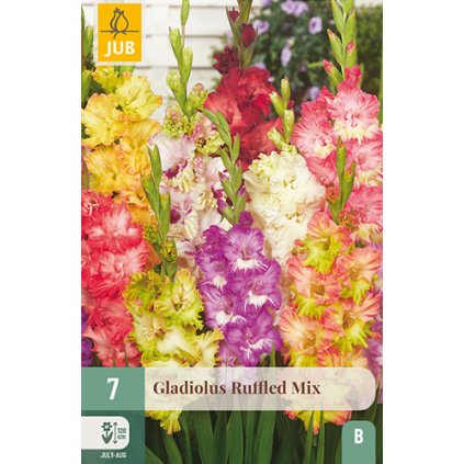 Mečík RUFFLED MIX 7 ks