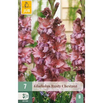 Mečík RUSTY CHESTNUT 7 ks