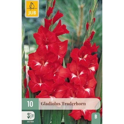 Mečík TRADERHORN 10 ks