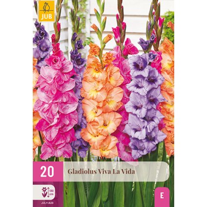 Mečík VIVA LA VIDA 20 ks