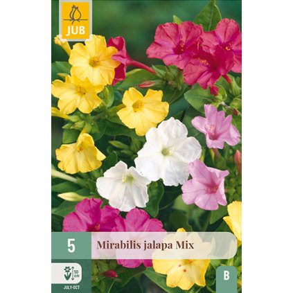 MIRABILIS JALAPA MIX 5 ks