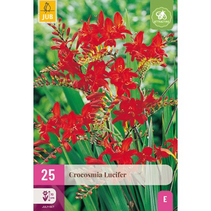 Montbrécie LUCIFER 25 ks