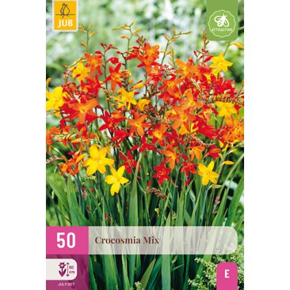 Montbrécie MIX 50 ks