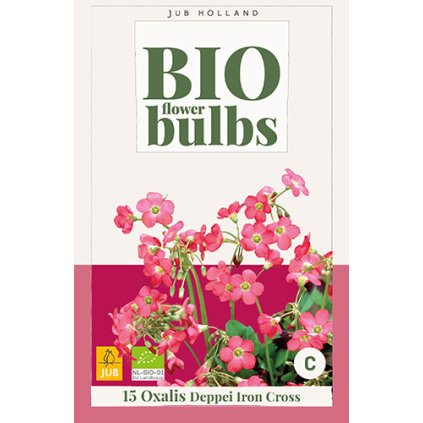 OXALIS DEPPEI IRON CROSS 15 ks