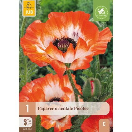 Mák orientální PICOTEE  1 ks