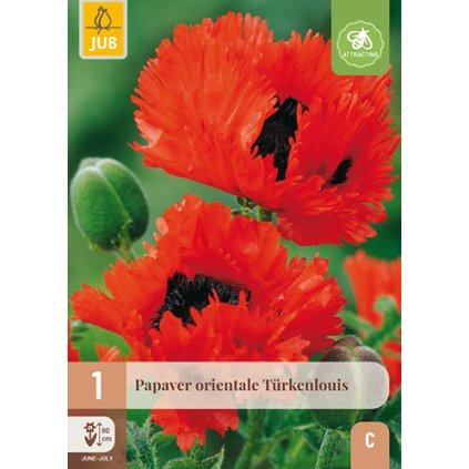 Mák orientální TÜRKENLOUIS 1 ks