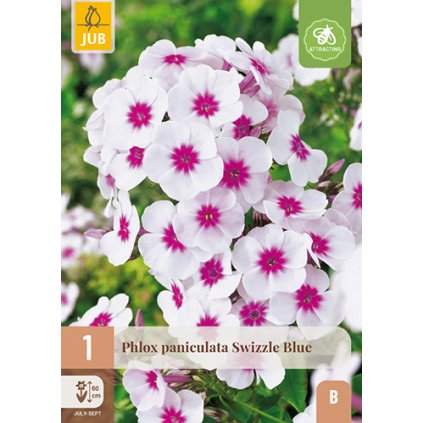 PHLOX PANICULATA SWIZZLE BLUE 1 ks