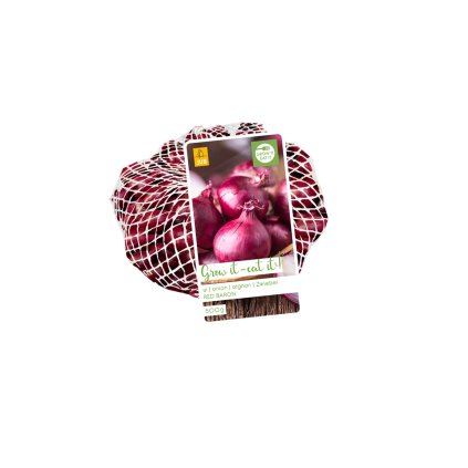 Cibule RED BARON 500 g