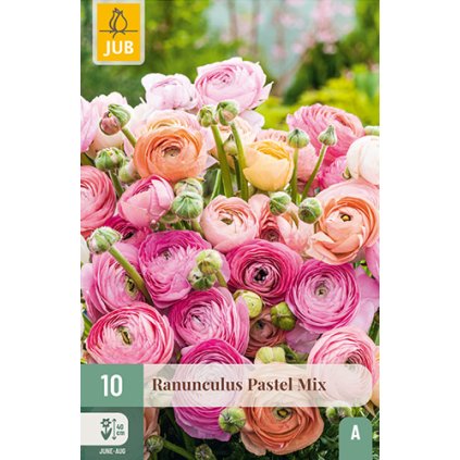 Pryskyřník PASTEL MIX 10 ks