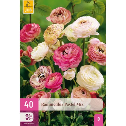 Pryskyřník PASTEL MIX 40 ks