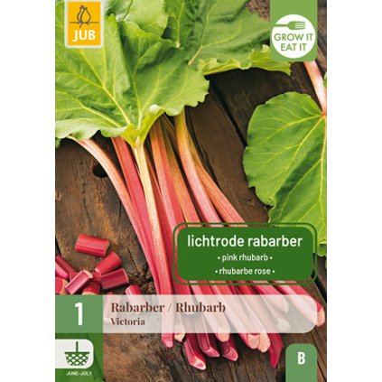 Rebarbora VICTORIA 1 ks