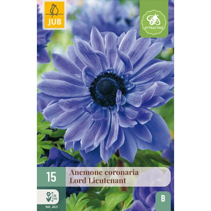 Sasanka COR. LORD LIEUTENANT 15X