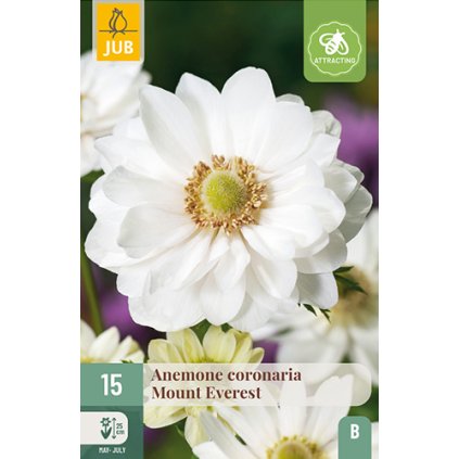 Sasanka COR. MOUNT EVEREST 15X