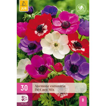 Sasanka DE CAEN MIX 30X