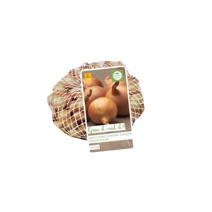 Šalotka YELLOW MOON 500 g