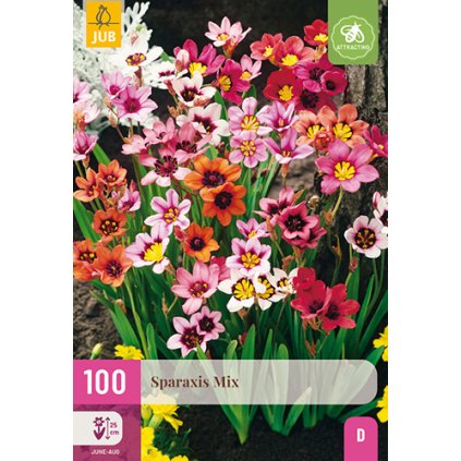 SPARAXIS MIX 100 ks