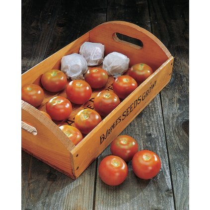 Tomato Burpees Long Keeper 1