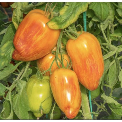 Screenshot 2026 01 29 at 21.05.55