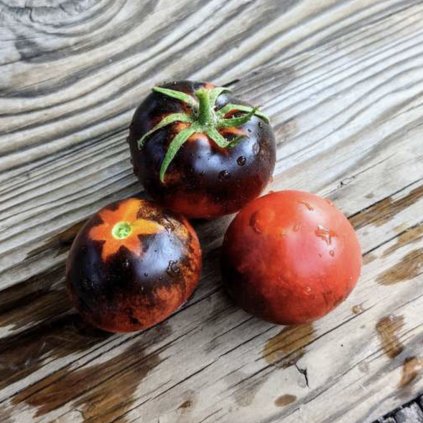 Screenshot 2026 01 20 at 8.42.51