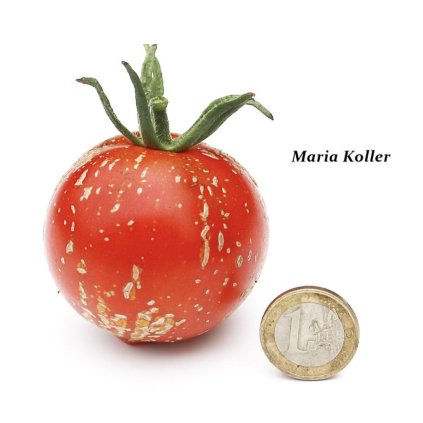 Screenshot 2026 01 19 at 9.17.29