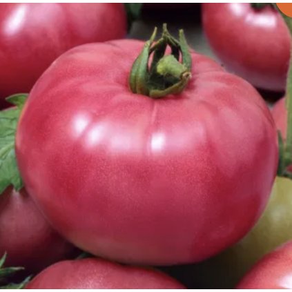 Screenshot 2026 01 18 at 22.31.56