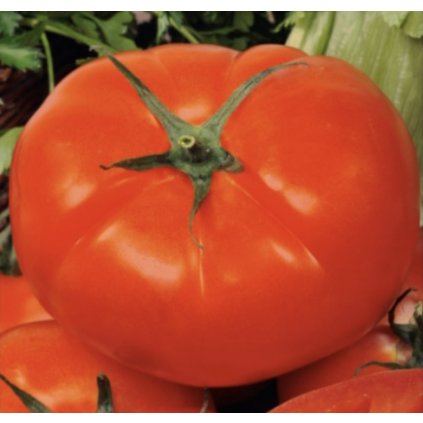 Screenshot 2026 01 27 at 13.21.47