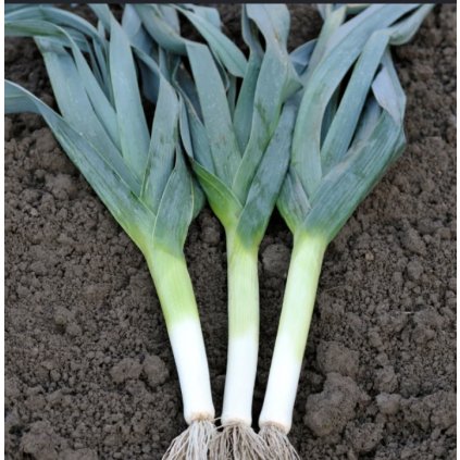 Screenshot 2026 01 30 at 10.16.00