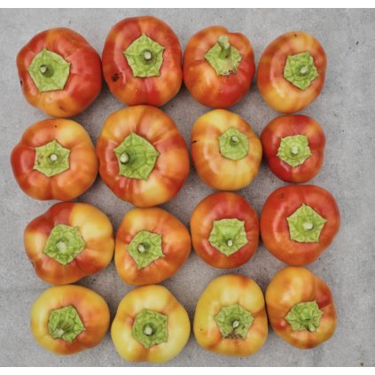 Screenshot 2026 01 20 at 8.48.06