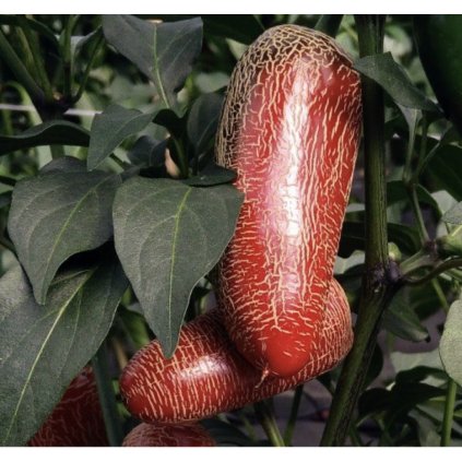 Screenshot 2026 01 29 at 9.22.50