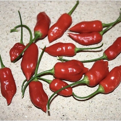 Screenshot 2026 02 01 at 0.45.34