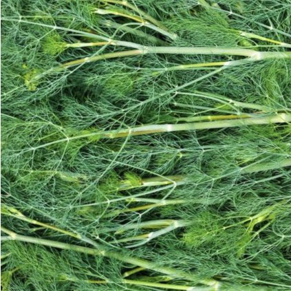 Screenshot 2026 01 28 at 23.30.13