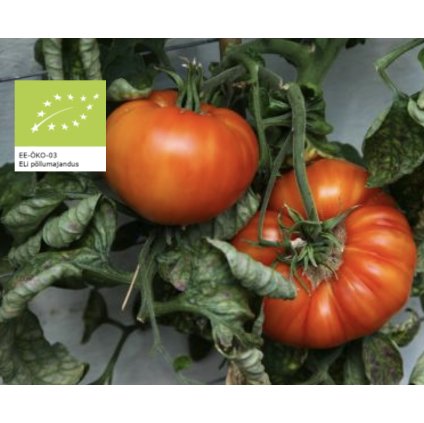 Screenshot 2026 01 29 at 21.17.31