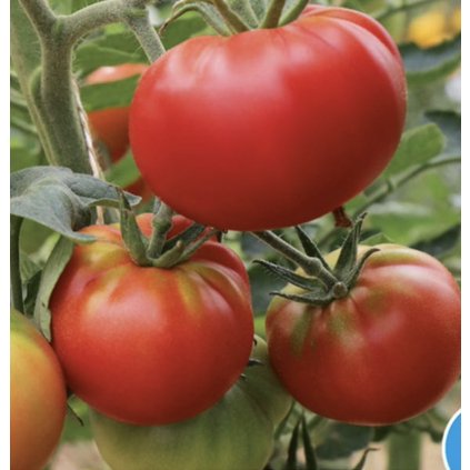 Screenshot 2026 01 29 at 10.25.57