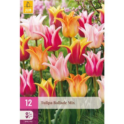 Tulipán Ballade Mix 12 ks