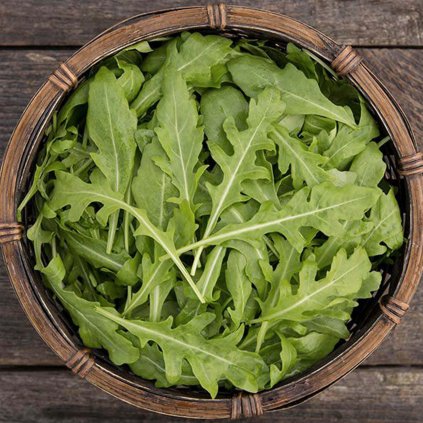 5236 rukola divoka sylvetta