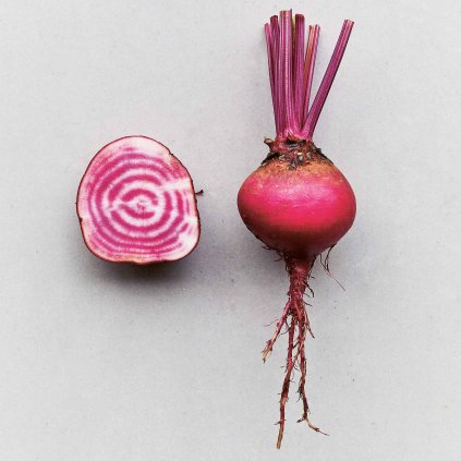 528 repa cervena crosbyho egyptska