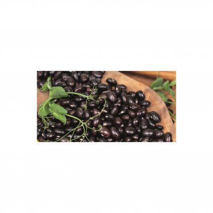 5314 fazole kerickove hynek