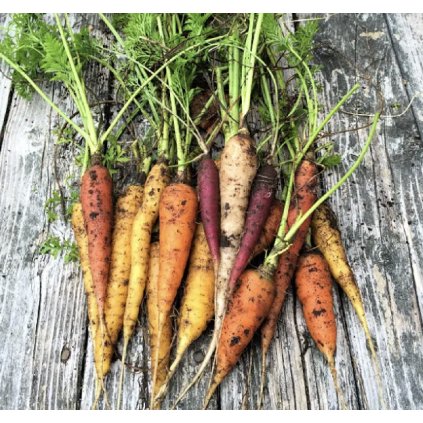 5808 screenshot 2024 01 29 at 14 08 30